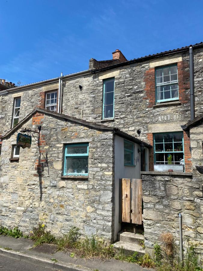 Moon In The Apple Tree Bed & Breakfast Glastonbury Exterior photo